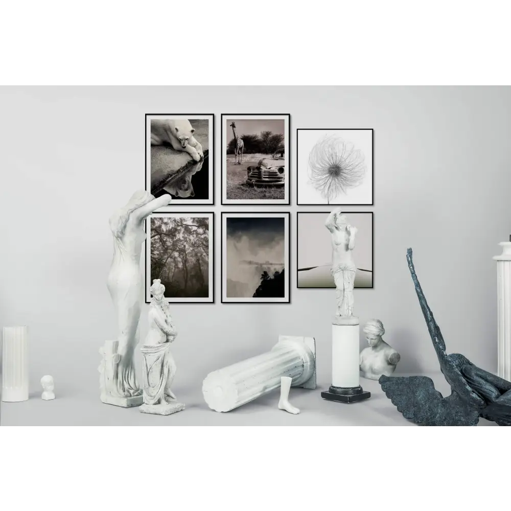 Fluffy Seedhead Poster