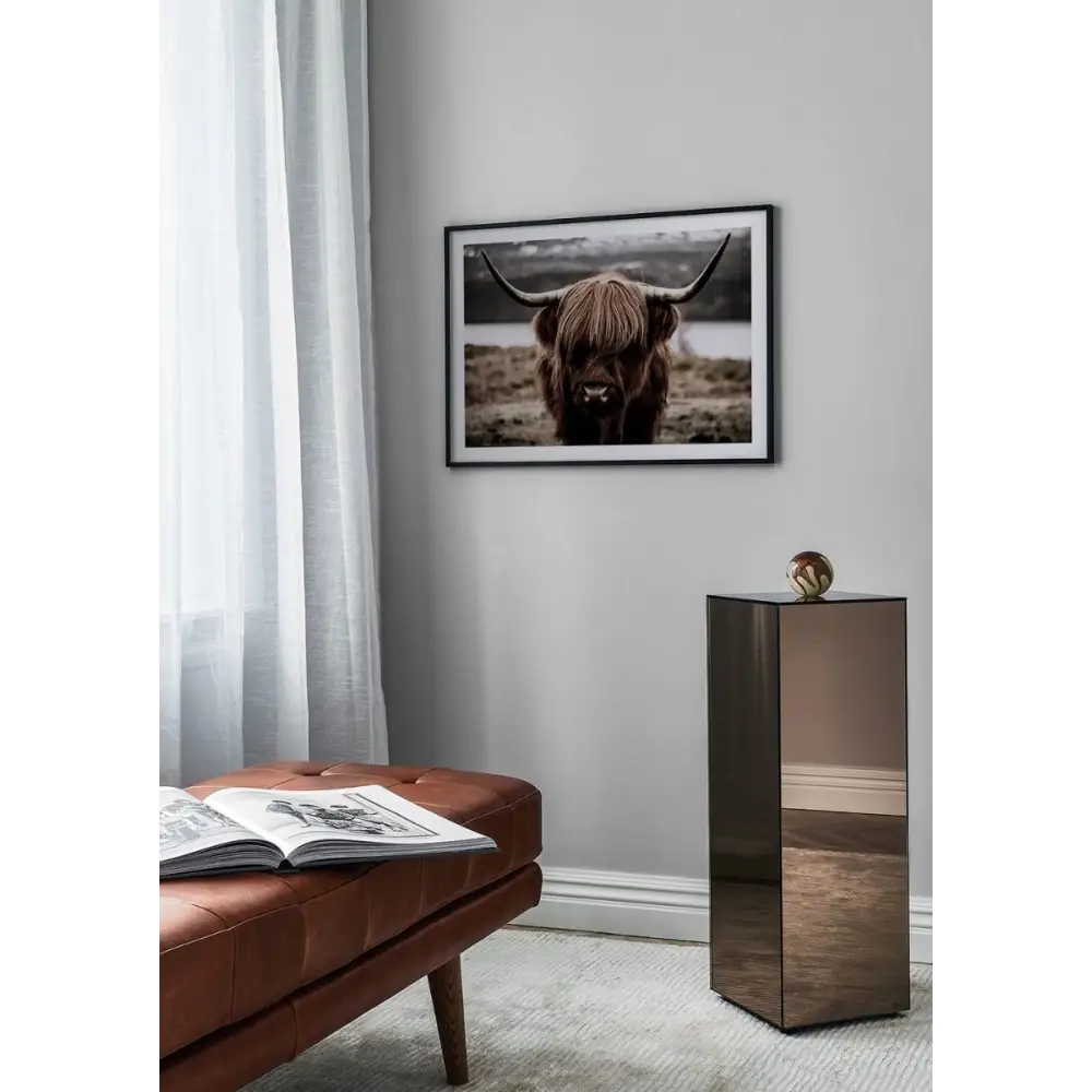 Highland Cow Poster