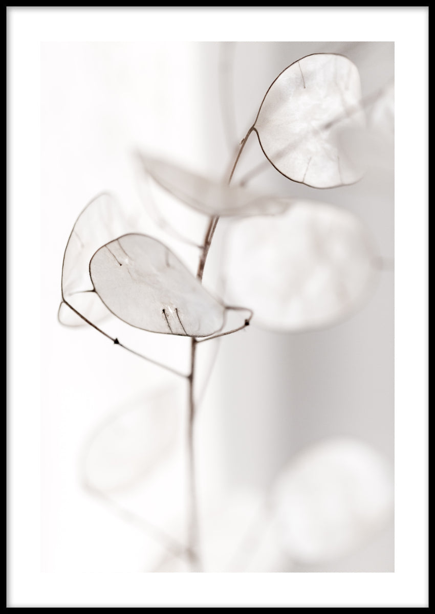 White Leaves Poster