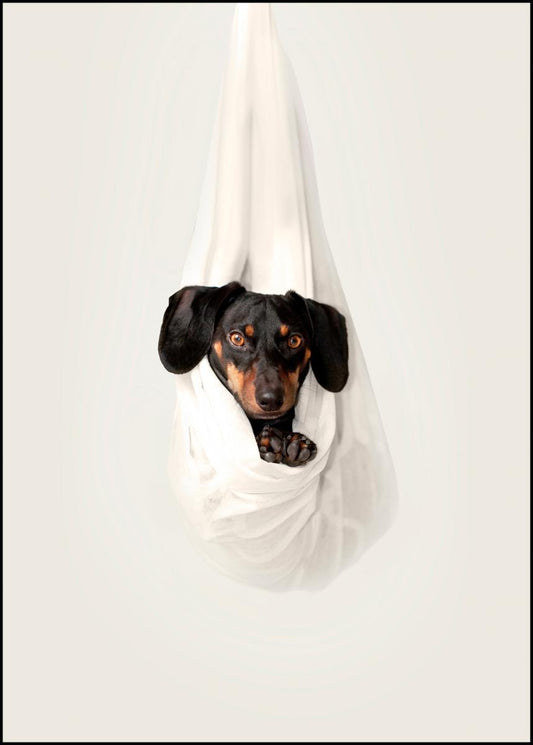 Chilling Dog Poster