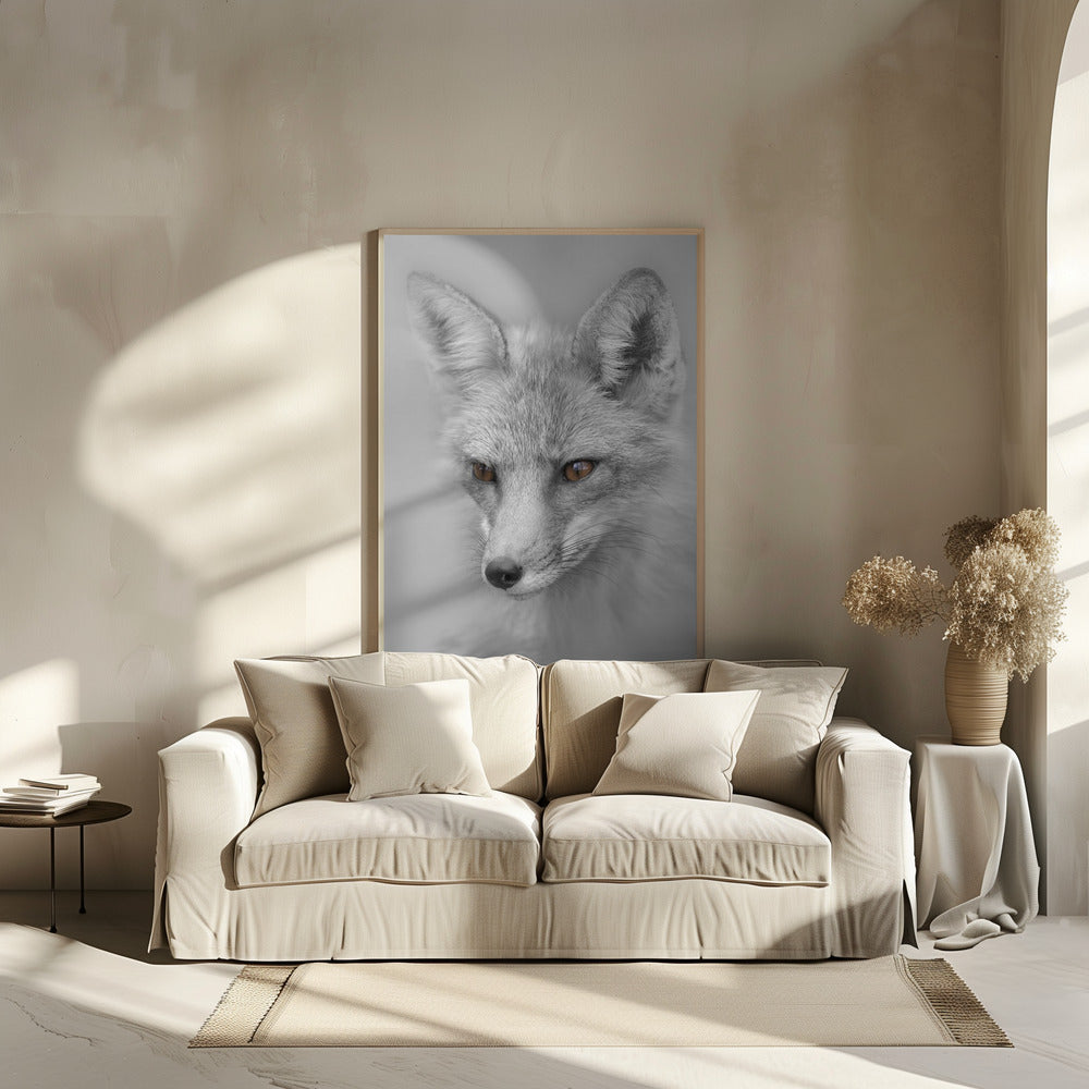 Red Fox Portrait Poster