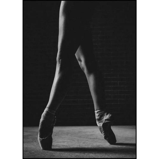 Ballet Shoes Poster