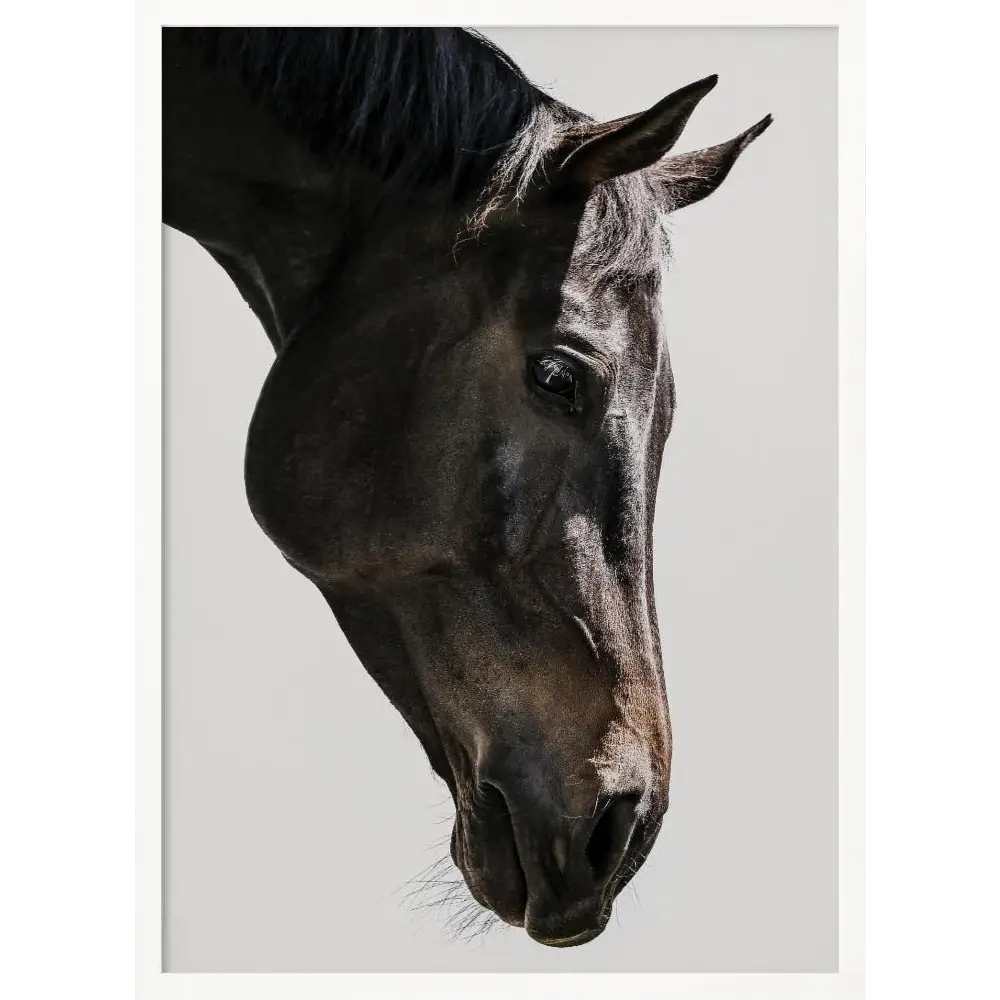 Bingo Poster - 2518354