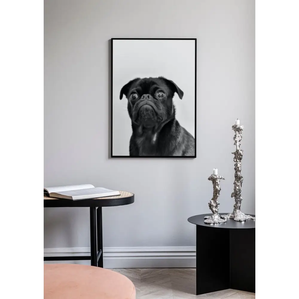 Bulldog Poster