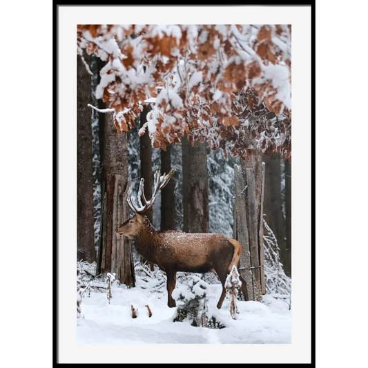 Deer Poster
