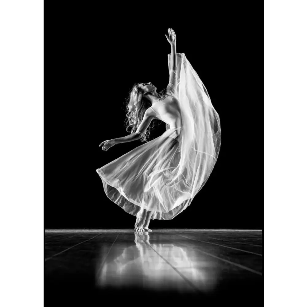 Elegant Dancer Poster