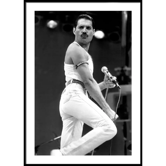 Freddie Mercury No5