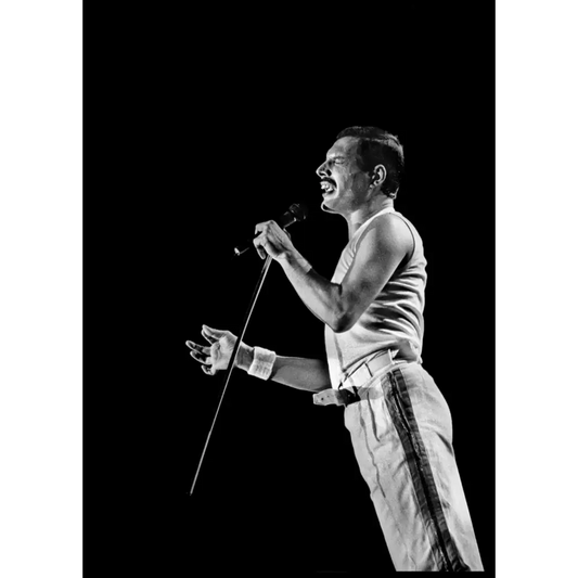 Freddie Mercury Poster