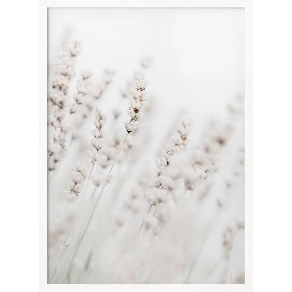 Grass straws Poster - 2125477