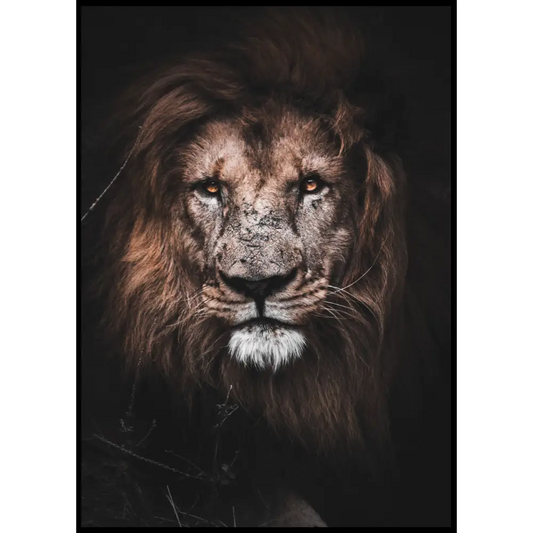 Lion Poster