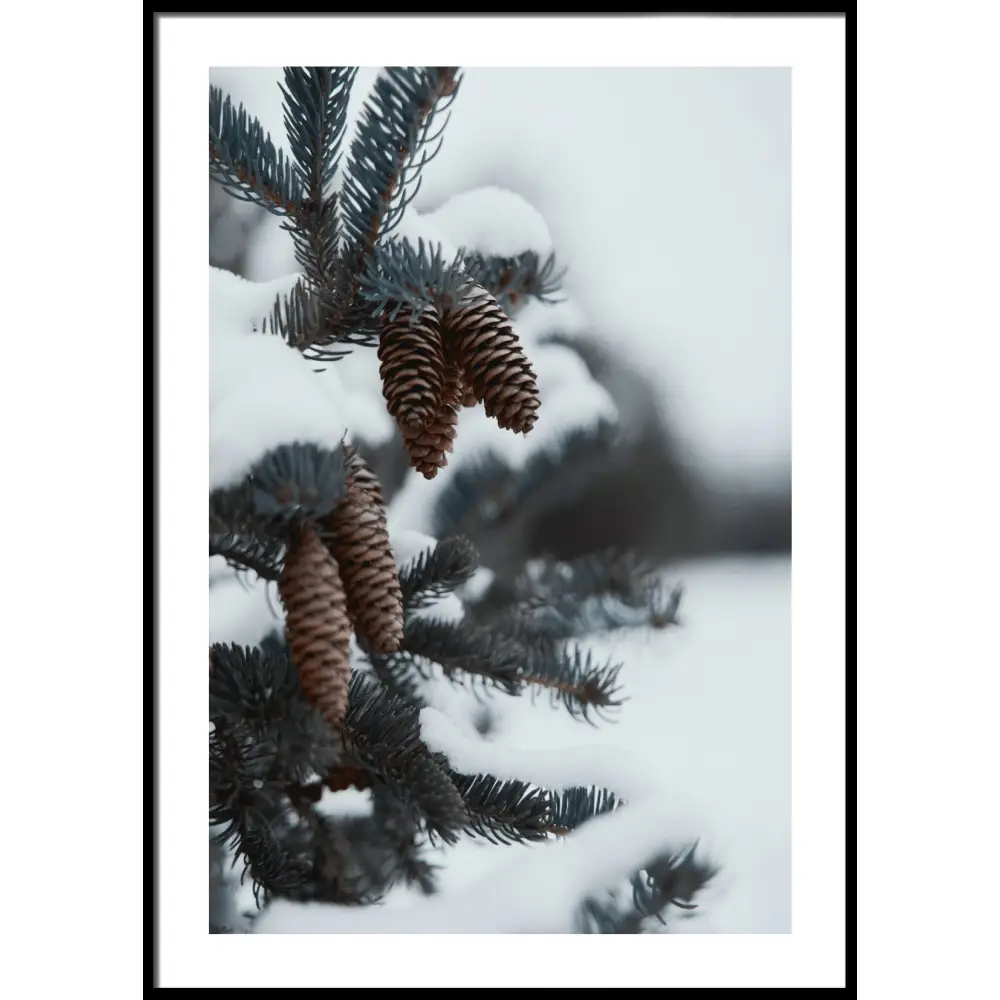 Pinecone Poster