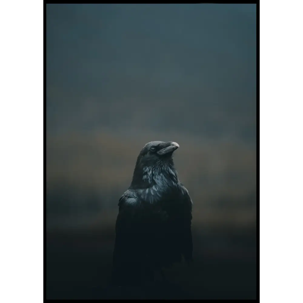 Raven Poster