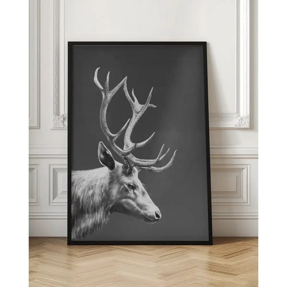 Reindeer Poster - 2498085