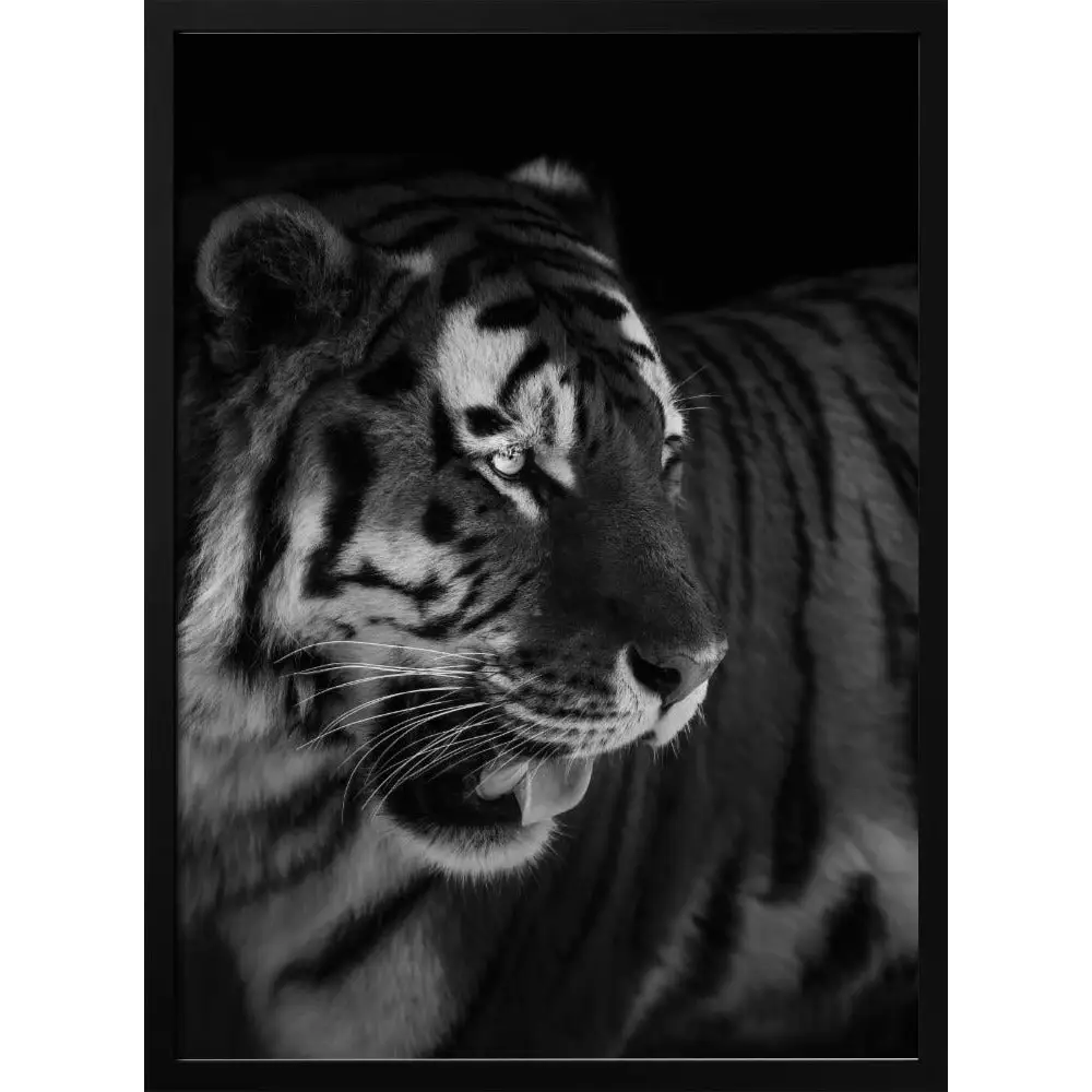 The King Poster - 2171236