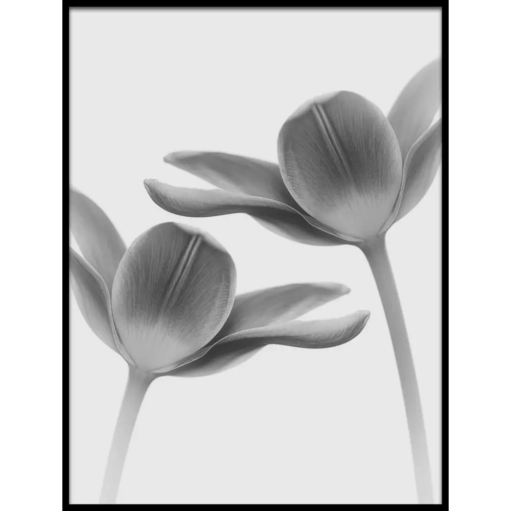 Twice The Same Poster