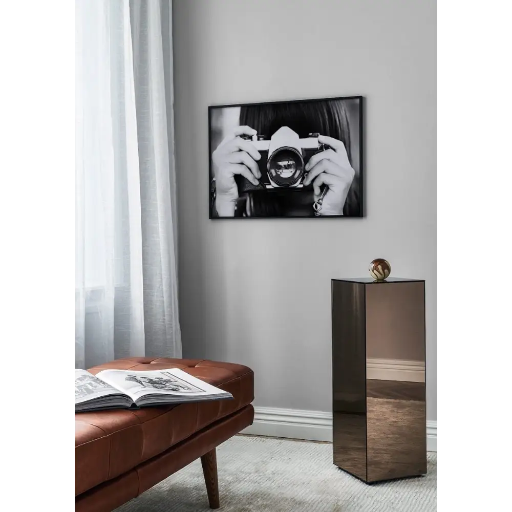 Vintage Photographer Poster