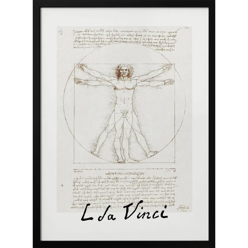Vitruvian Man Signature By Leonardo Da Vinci Canvasposter - 2981680