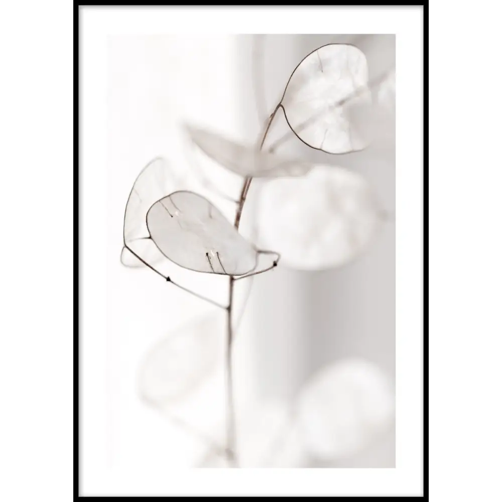White Leaves Poster